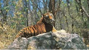 Achanakmar Wildlife Sanctuary